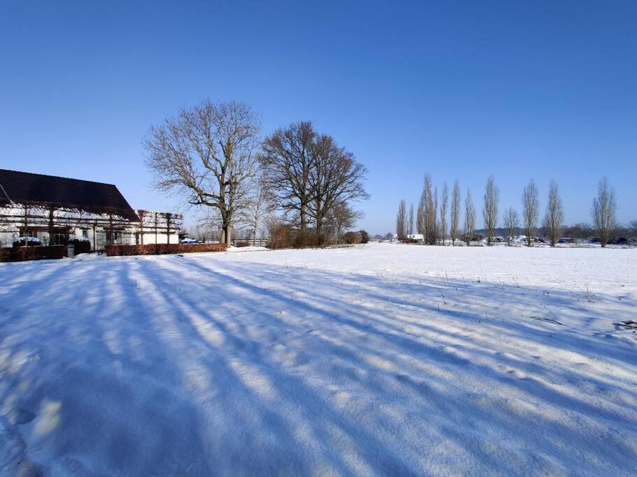 The Horst Cottage Holsbeek Exteriör bild