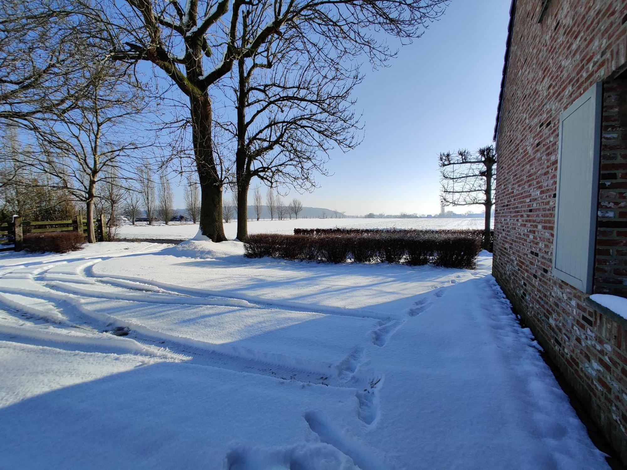 The Horst Cottage Holsbeek Exteriör bild